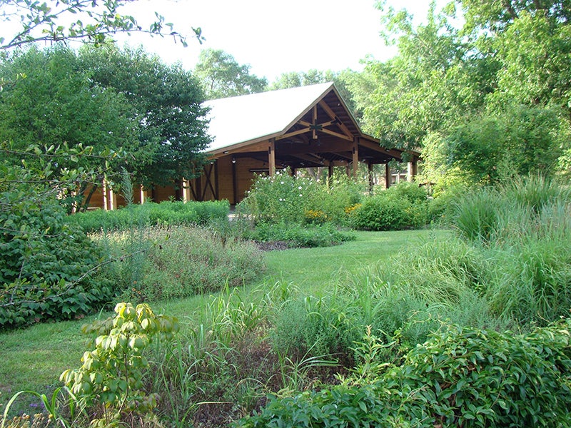 Garden of the Coastal Plain announces name change to Botanic Garden to reflect plans for growth