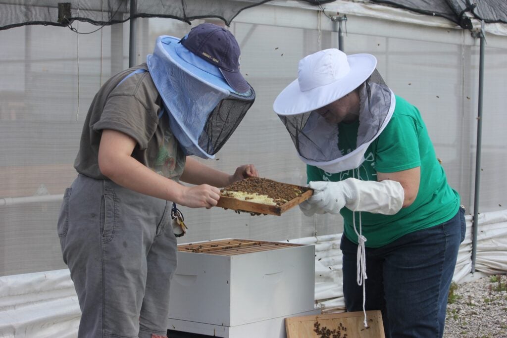 There are new residents buzzing around Georgia Southern’s  Armstrong Campus