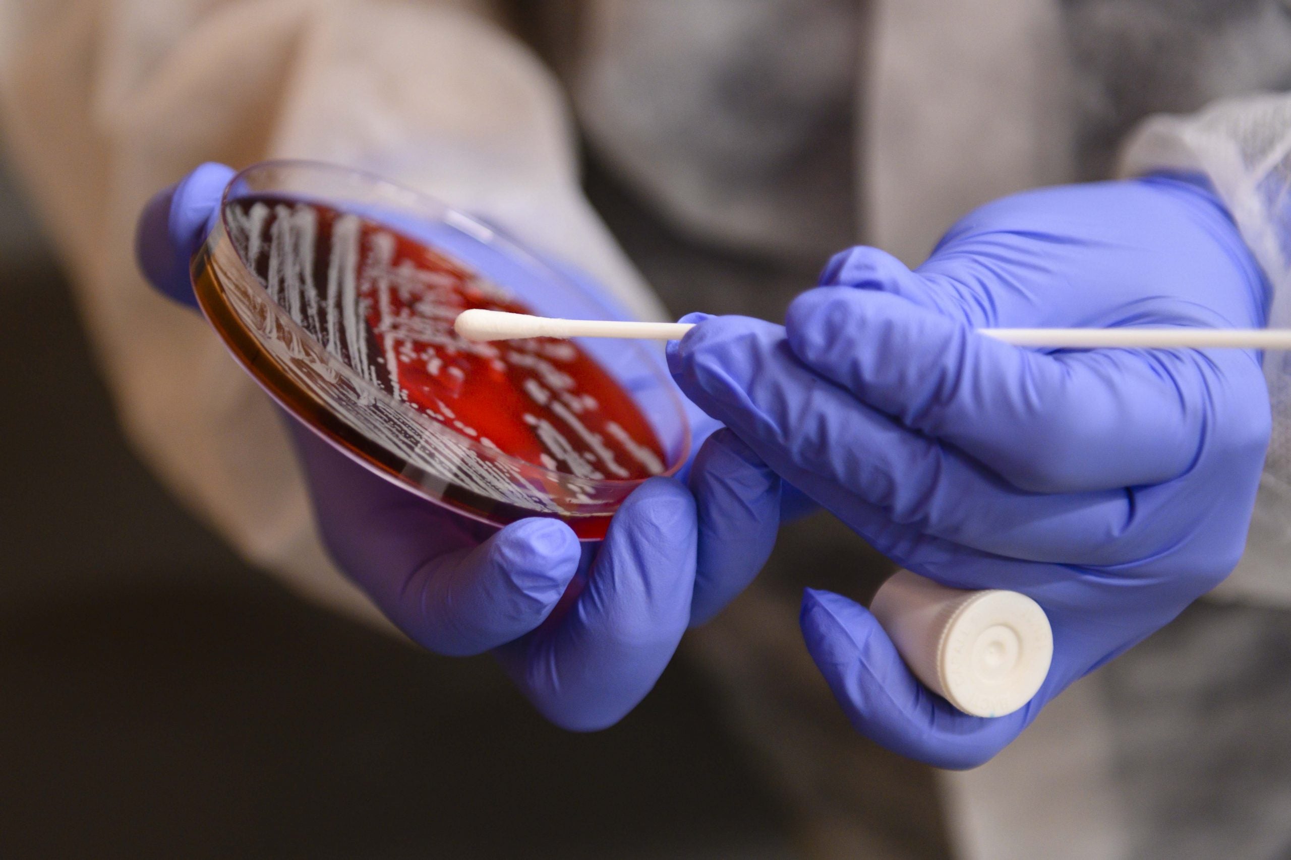 A new Bachelor of Science in biomedical sciences will debut in Georgia Southern University’s College of Science and Mathematics Fall 2025 roster following degree approval at the University System of Georgia’s Board of Regents meeting in Atlanta on Oct. 8. The new program is the first of its kind offered by a USG institution.