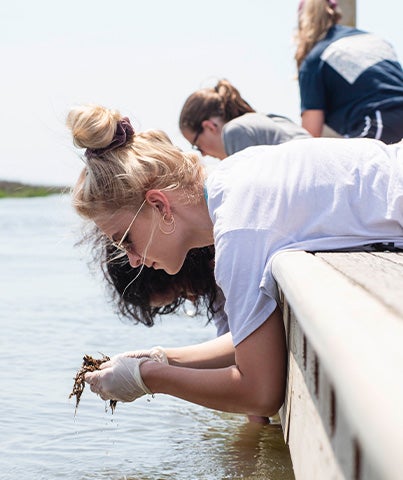 Students from Georgia Southern's College of Science and Mathematics collect samples from a river for a research project