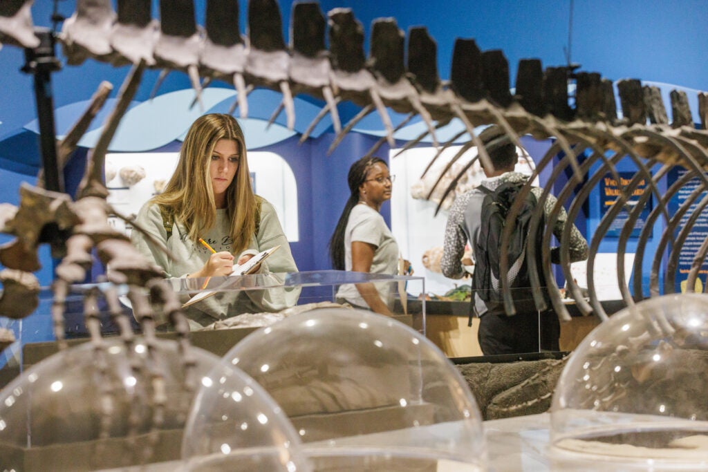 Master’s in Social Science