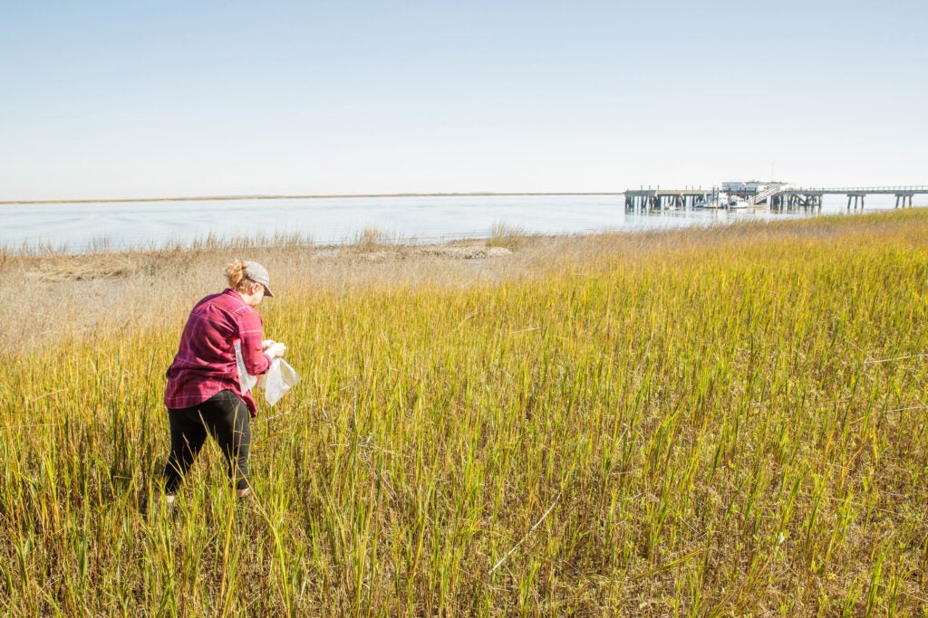 Master’s in Environmental Science