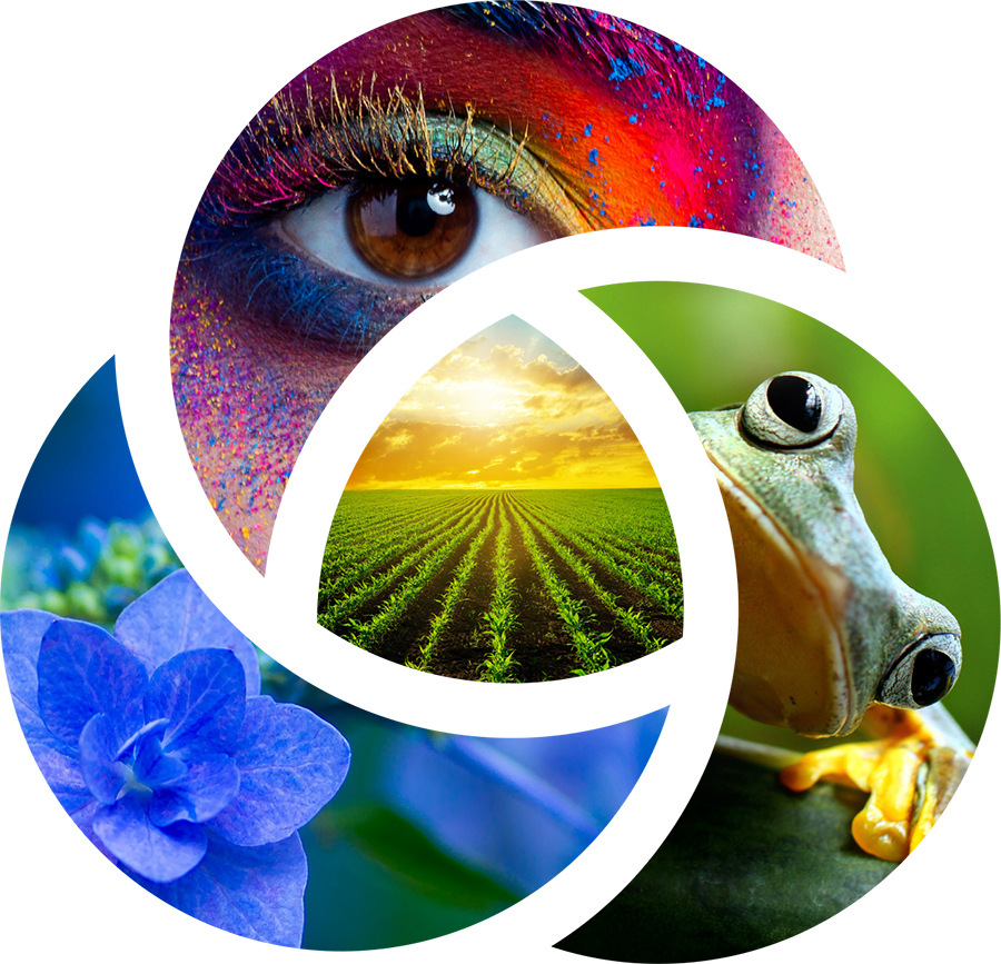A logo symbolizing the one health approach that aims to balance the health of humans, animals, plants and the environment.