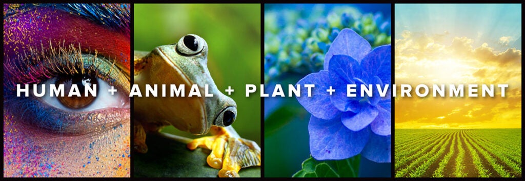 A logo symbolizing the one health approach that aims to balance the health of humans, animals, plants and the environment.
