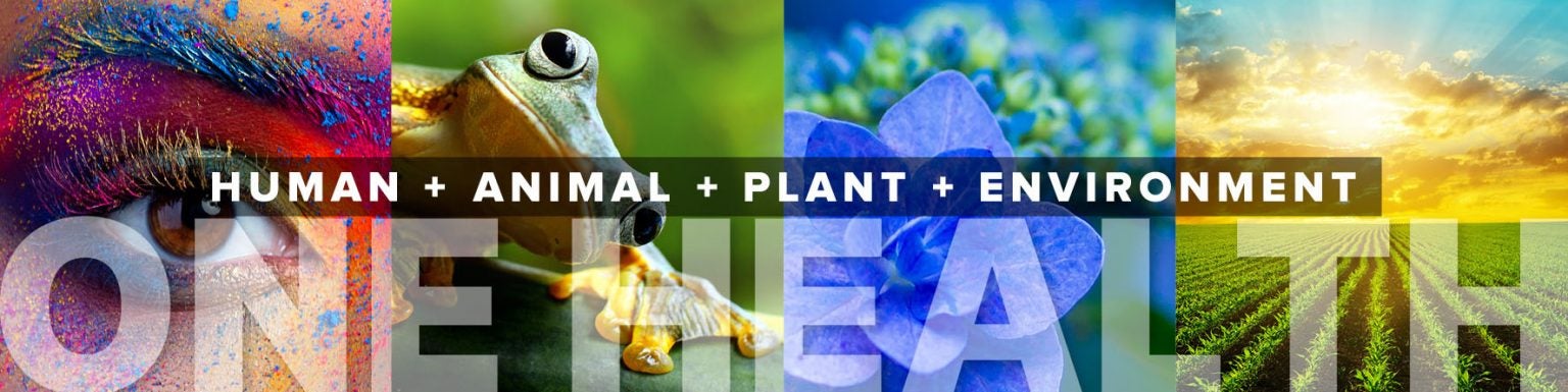 Human plus animal plus plant plus environment. One Health.