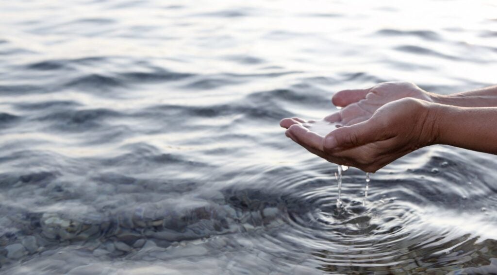 Hands cupping water from a clear lake.