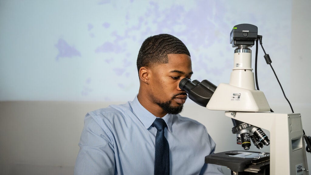 PhD in Materials Science
