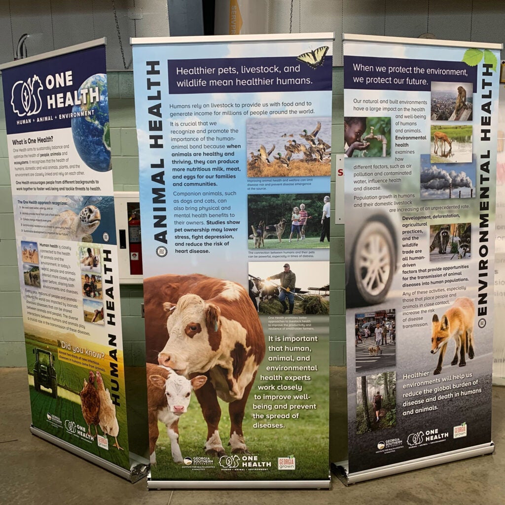 Pop up panels from the traveling IHLA exhibit