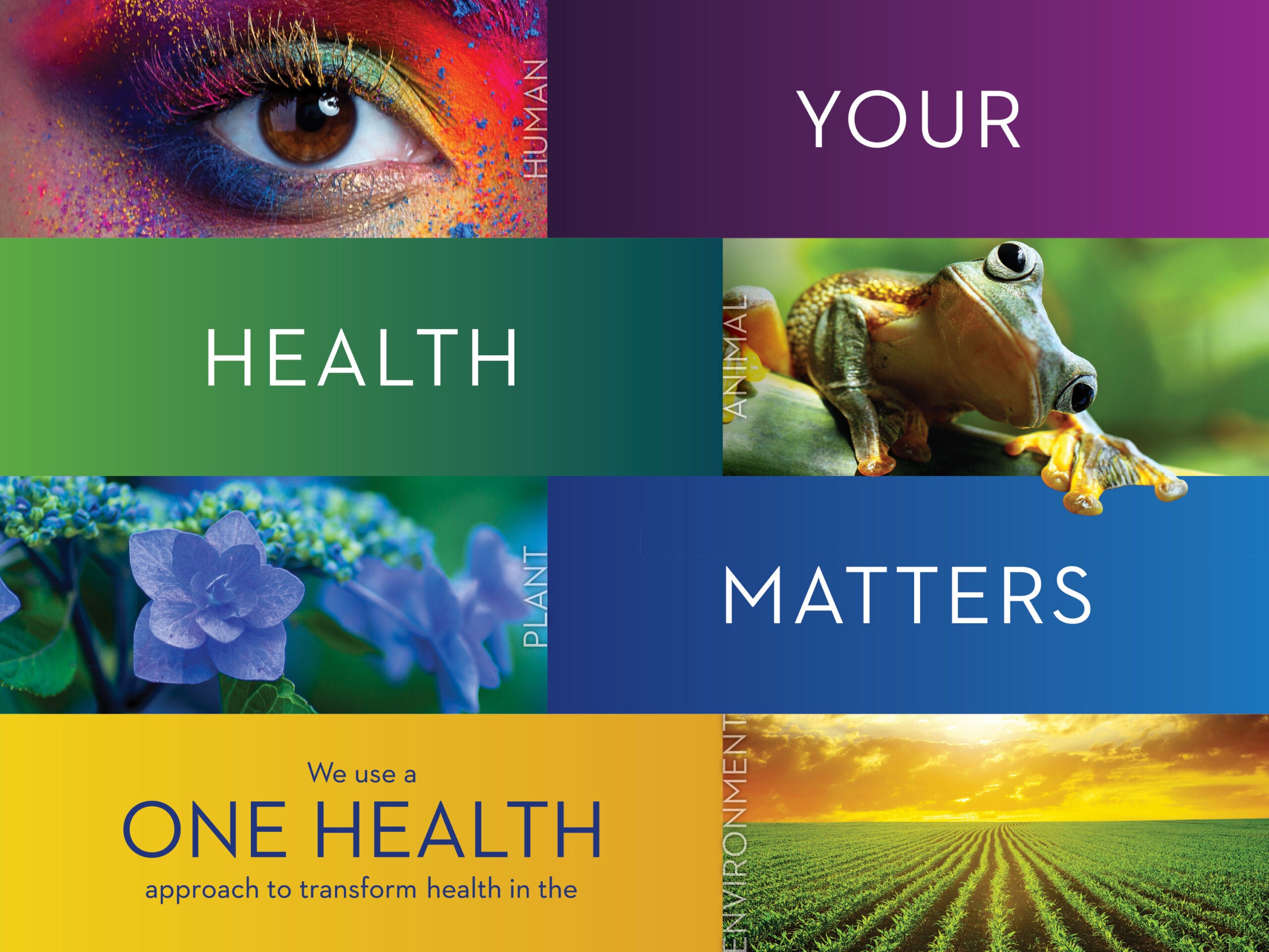 A graphic using the visual elements of the One Health logo. It says Your health matters. We use a One Health approach to transform health in the communities we serve.