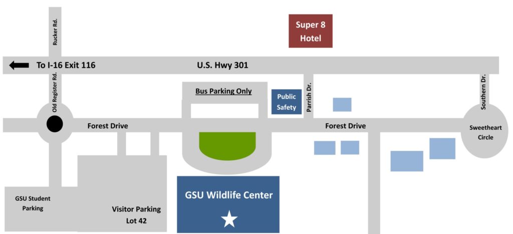 Map showing the location of the Georgia Southern University Wildlife Center on the Statesboro campus. The Wildlife Center is located on Forest Drive, near Visitor Parking Lot 42 and designated bus parking. Nearby roads include U.S. Highway 301, Old Register Road, Parrish Drive, and Southern Drive.