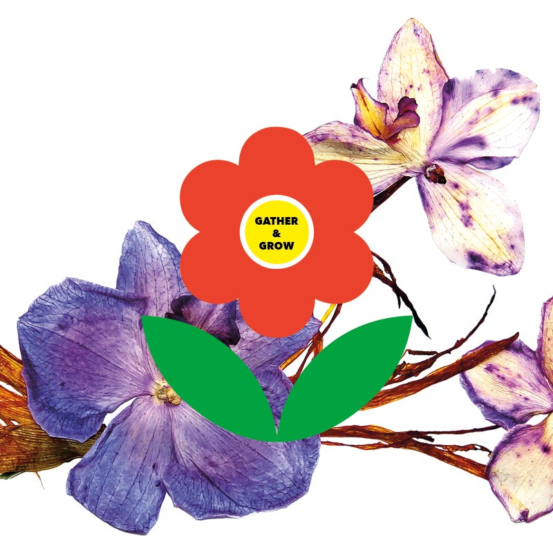 The Gather and Grow logo with a collection of orchids.