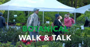 People browse plants under tents at the annual plant sale.