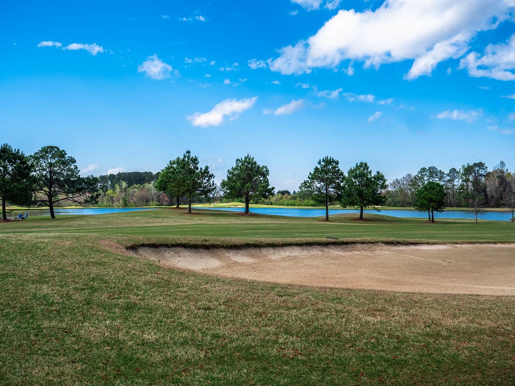 An image of the Georgia Southern Golf Course green.
