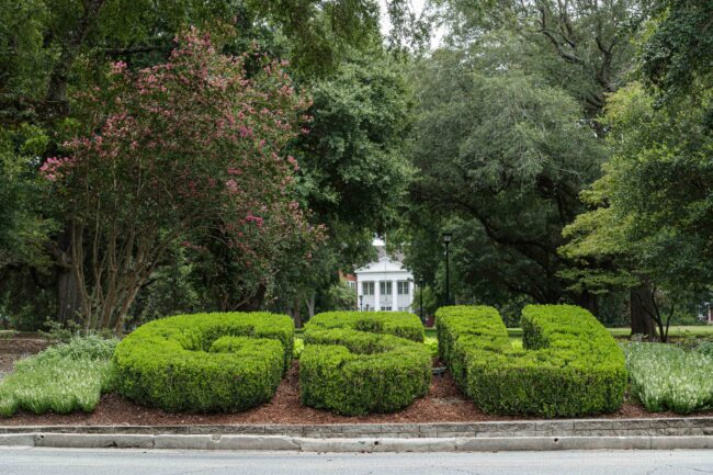 Mobility nonprofit awards nine Georgia Southern physical therapy doctoral students with scholarships 