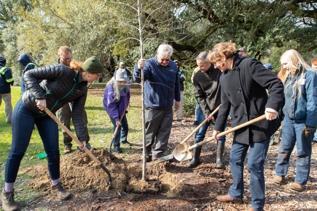 Arbor Day celebration
