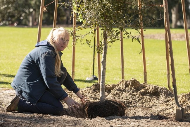 Alicia Lanier, horticulturist and arborist with the University’s Department of Landscape Services, coached attendees on how to properly plant a tree.