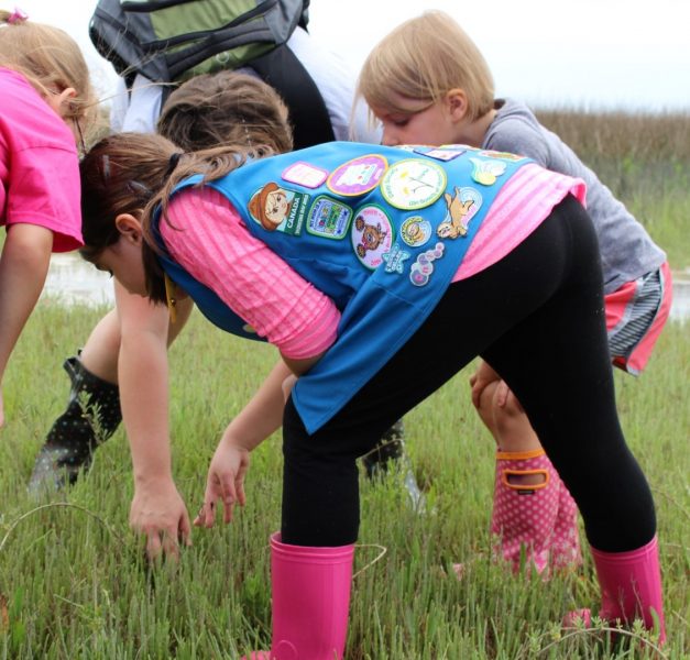 COSM Dean Delana Gajdosik-Nivens wants to send interns to work with Girl Scouts at camps such Camp Low on Rose Dhu Island, shown above.