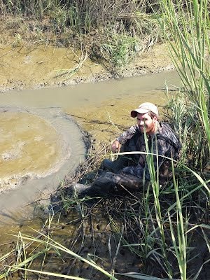 Jamie Alfieri_saltmarsh