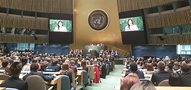 Model UN 1