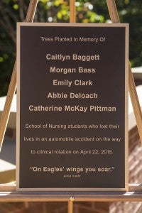 plaque