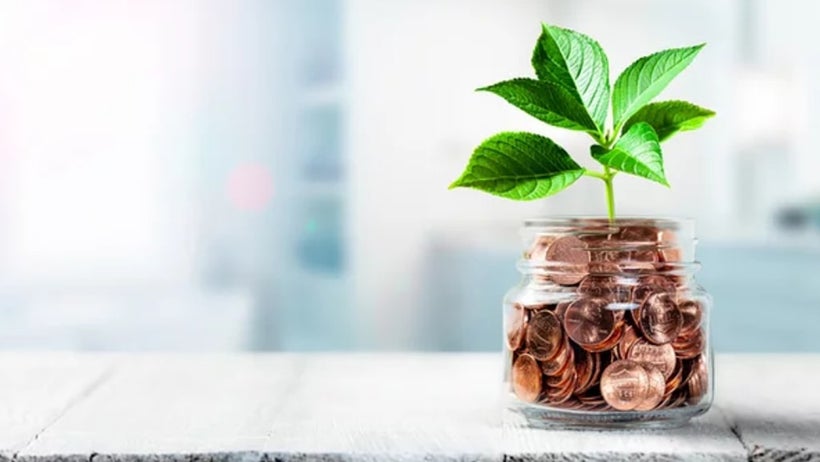 Picture of a plant in a pot full of pennies