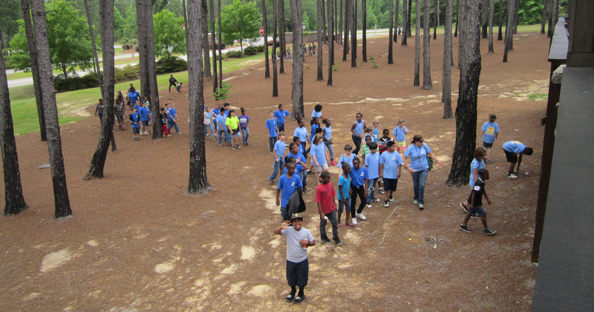 Fulford Summer Nature Camps