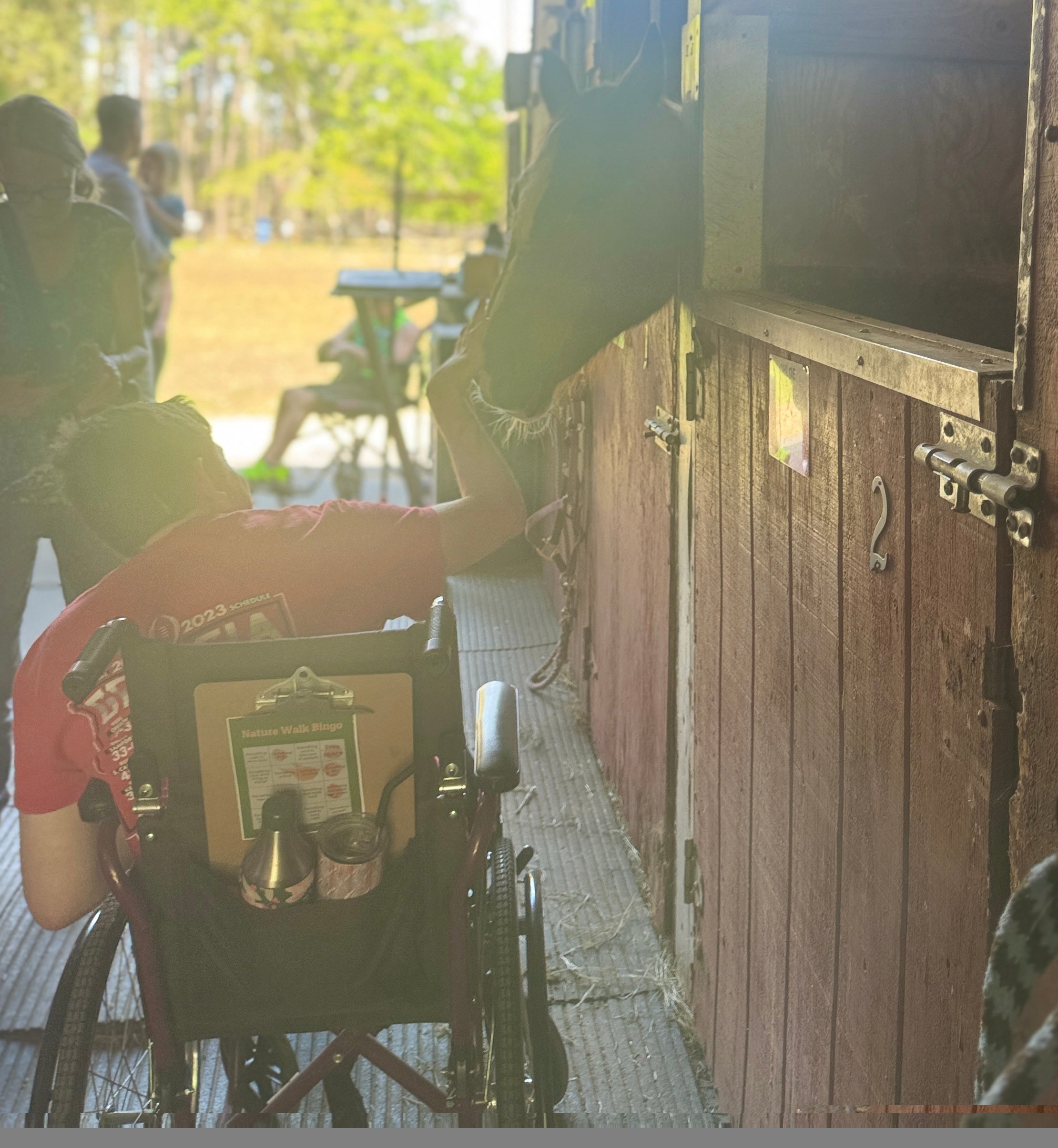 A person in a wheelchair reaches out to gently touch a horse leaning its head out of a wooden stable stall. The scene is softly lit with warm sunlight, with a few other people and trees visible blurred in the background.