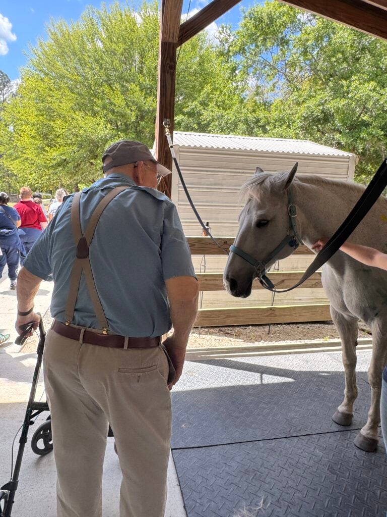 An elderly man wearing a cap, blue shirt, and suspenders stands with a walker under a wooden shelter, facing a light-colored horse. The horse, wearing a halter, stands calmly beside him while another person gently holds it. In the background, several people walk along a sunny path lined with trees, and a small shed is visible. The scene appears to take place at a stable or outdoor animal area on a bright day.