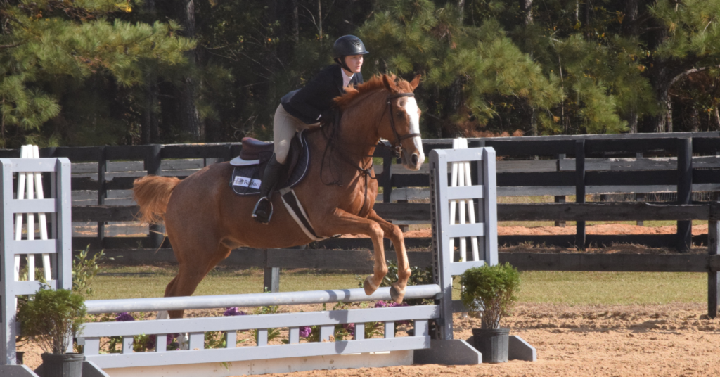 Saddling up for success: Georgia Southern Equestrian uncovers athletic talents while fulfilling childhood dreams