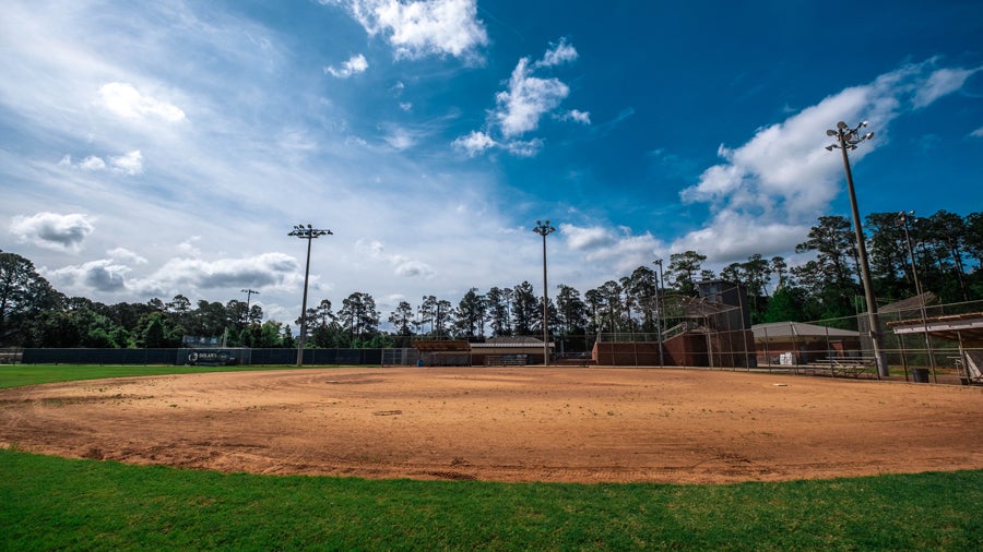 Sunlit baseball field with a dirt infield, green outfield grass, and tall floodlights against a blue sky with trees beyond the fence.
