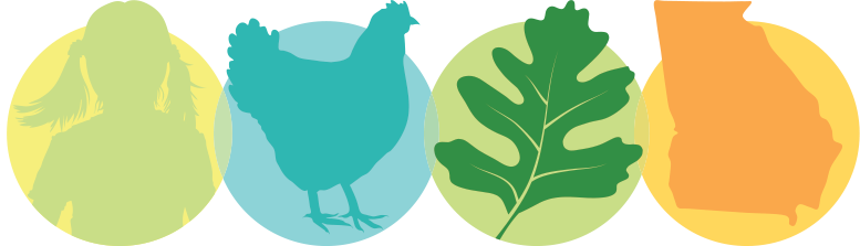 Four circular icons: a girl silhouette, a teal chicken, a green fern leaf, and an orange Delaware outline.