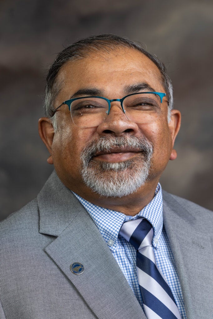 Abhijit "AB" Bhattacharyya, Ph.D.
Dean is smiling in a professional headshot. he is wearing glasses, a gray jacket, blue shirt, and navy and white striped tie.