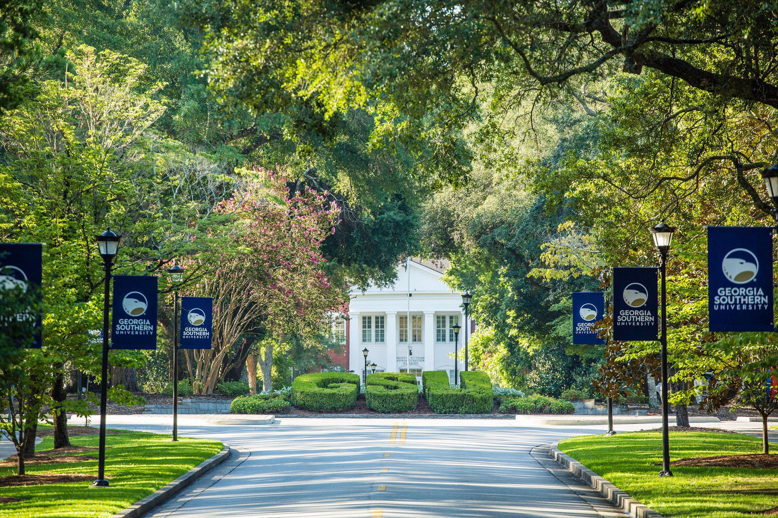 Campus street lined with trees and blue Georgia Southern University banners along lamp posts; white building in the background.